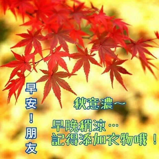 按我可連結至更清楚的圖片
